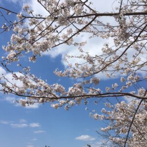 ご入学おめでとうございます